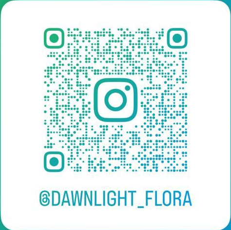 Instagram 二维码